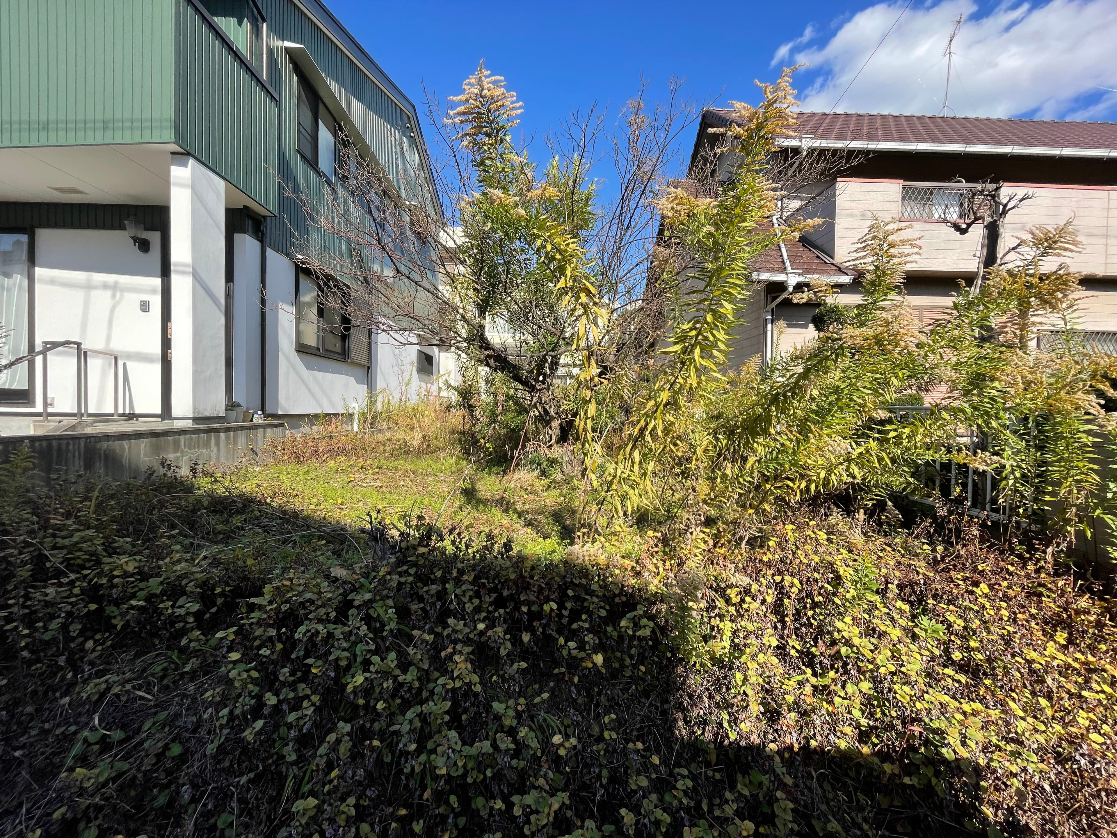 草刈り施工前